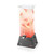 Rosseto LD144 2 Gal. Clear Acrylic Square with Black Matte Stainless Steel Pyramid Base Beverage Dispenser