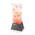 Rosseto LD144 2 Gal. Clear Acrylic Square with Black Matte Stainless Steel Pyramid Base Beverage Dispenser