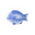 Thunder Group 1200CFB 12" Blue Melamine Festive Fish Shaped Fish Platter