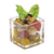 FOH ASA012CLG23 5 Oz. Square Glass Stemless Sampler Dish