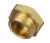 17507 CAP FOR 3/4 STRAINER