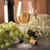 Carlisle 564507 8 Oz. Clear Polycarbonate Carlisle - Alibi White Wine Glass