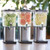 Service Ideas SCD15SS 1.5 Gal. Square Stainless Steel Single Beverage Dispenser