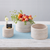 American Metalcraft MWRS11 226 Oz. Sun-Bleached Wood Round Hampton Collection Bowl or Riser