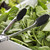 TableCraft Products 2774 9 1/2" Stainless Steel Utility Tongs