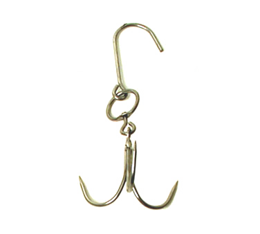 zoom