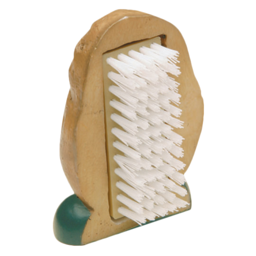 Mr. Potato Brush, vegetable scrubber