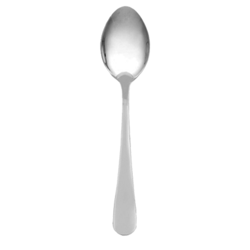 HIC Stainless Steel Sugar Ladle