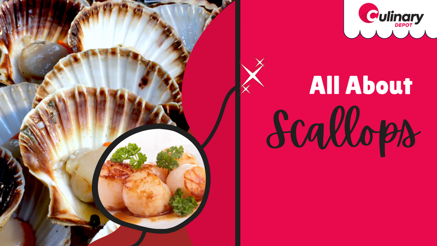 What Are Scallops? Best Ways to Cook Them and More!