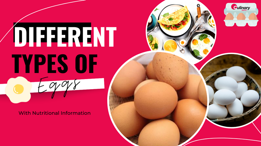 Different Types of Eggs: How to Choose the right one?
