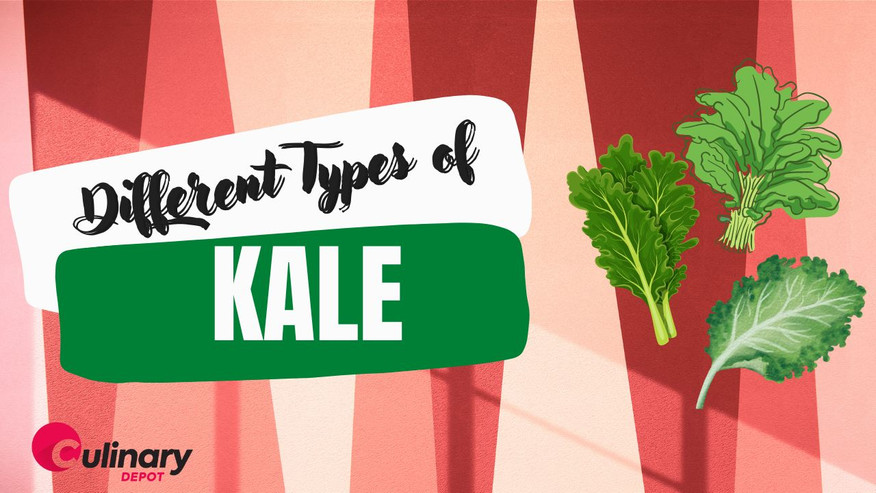 A Guide to Types of Kale and Best Ways to Use Them