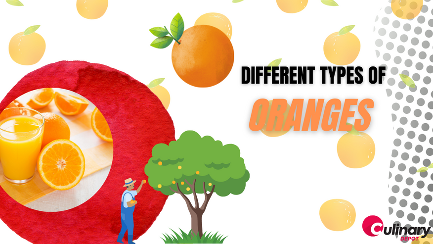 Different Types of Oranges — Cool Facts about them