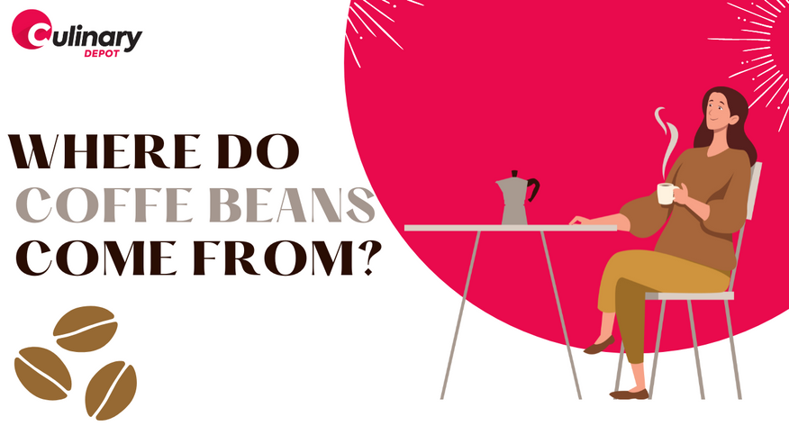 Where Do Coffee Beans Come From? How It's Made and History!