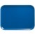 Amazon Blue