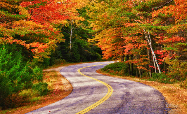 fall foliage road
