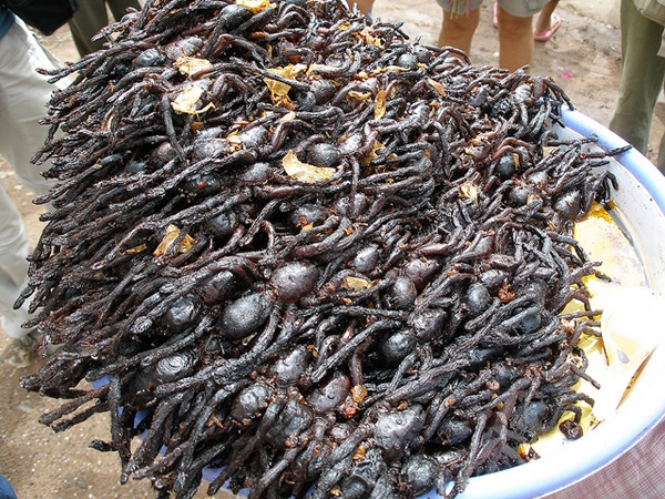 weird meals around the world - fried spider