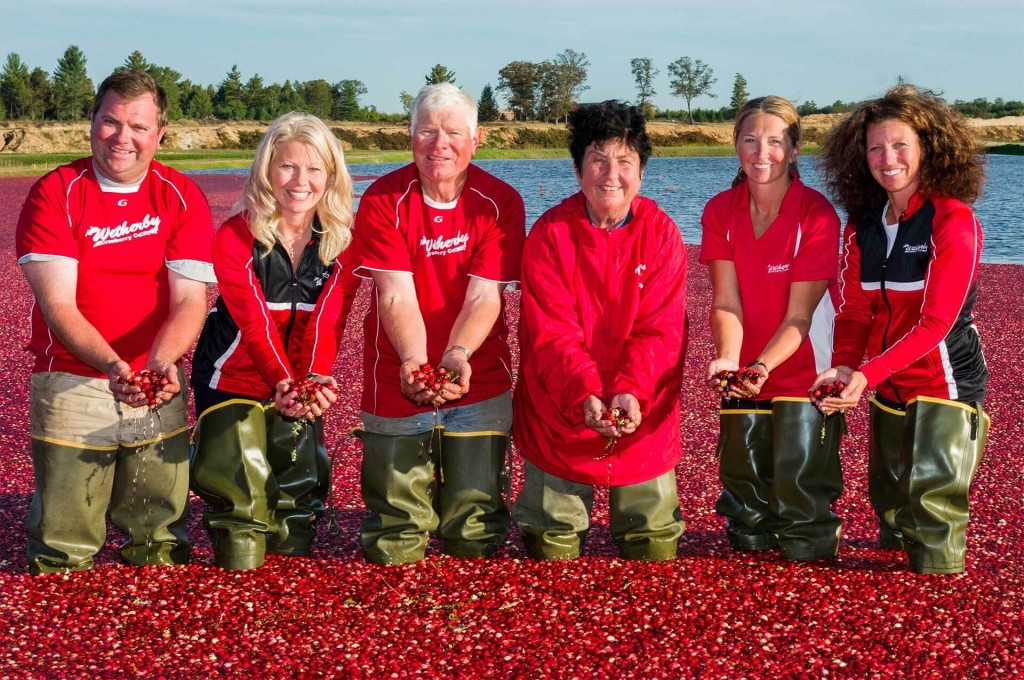 best fall food festivals in america for 2017 - warrens cranberry festival