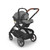 UPPAbaby Cruz V3 Stroller + Aria or Mesa V3 or Mesa V2 Car Seat Travel System