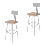 Premium Commercial-Grade All-Purpose Square Stool with Backrest (30-inch Height, Gray Frame, Masonite Wood Seat, 2-Pack)