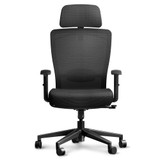 Ergonomic Office Chair High Back Computer Chair Home Office Desk Chairs with Lumbar Support/Heavy Duty Base/Headrest/Lockable Back, Comfortable Foam Seat Cushion, ErgoChair Pro, Black