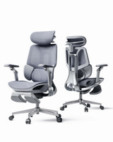Ergonomic Office Chair, Mesh Desk Chair with 3-Zone Floating Lumbar Support, Upgraded 4D Headrest, 720° Armrests, Grey with Footrest