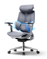 Ergonomic Office Chair, Mesh Desk Chair with 3-Zone Floating Lumbar Support, Upgraded 4D Headrest, 720° Armrests, Grey