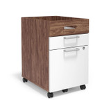 2 Drawer Mobile File Cabinet, Rolling Printer Stand, Vertical Filing Cabinet, Office Drawers, Filing Cart for Home Office, A4/Letter Size, Black and Rustic Brown