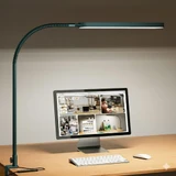 LED Desk Lamp - Desk Light for Home Office - Flexible Gooseneck - 5 Color Modes X 11 Brightness Levels - 1300LM - Timmer & Memory Function - 12W Clip on Light - Green