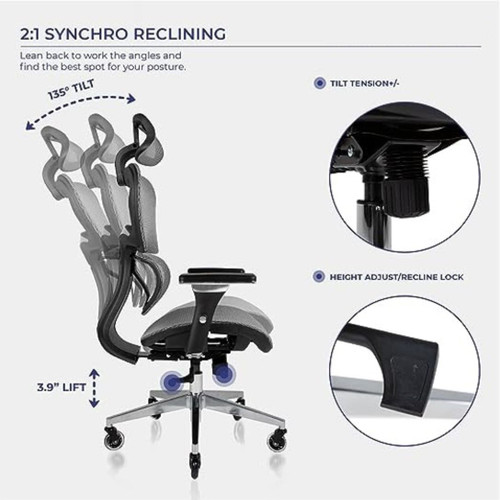 Humanspine Office Chair by ModSavy Brand NEW Platinum