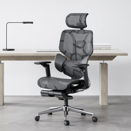 Humanspine Comfort Office Chair by ModSavy Brand NEW