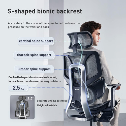 Humanspine Comfort Office Chair by ModSavy Brand NEW