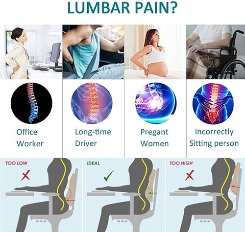 Lumbar Support