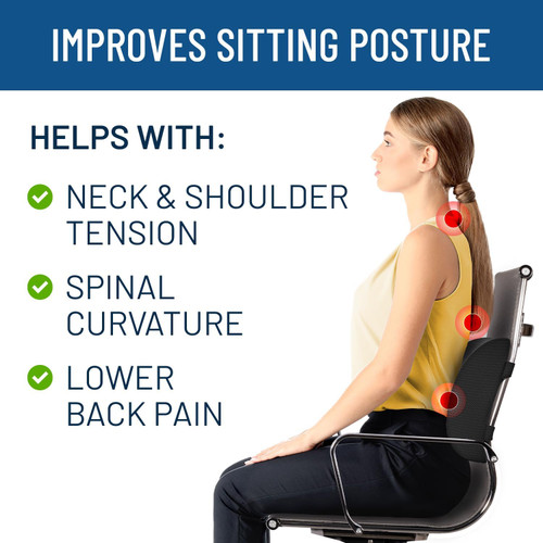 Lumbar Support Pillow for Office Chair for Lower Back Pain - Mini Office  Chair B