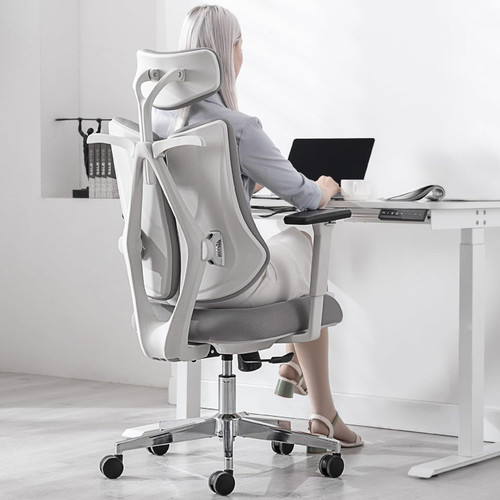 Humanspine Dualback Office Chair by ModSavy Brand NEW 