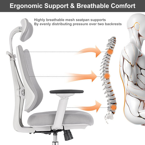 Humanspine Dualback Office Chair by ModSavy Brand NEW 