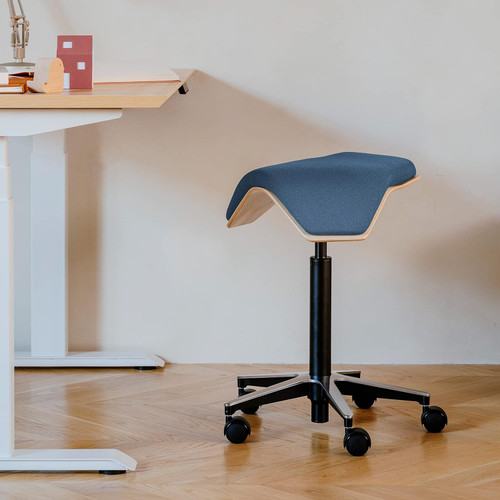 Ergonomic Rolling Stool for Healthy Posture and Sustainable Style