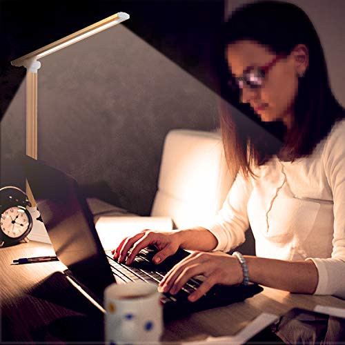 Lapeort Desk Lamps for Home Office, Dimmable Desk Lamp for College Dorm Room with USB Charging Port, Cute LED Desk Lamp with 5 Light Modes 3 Level Brightness