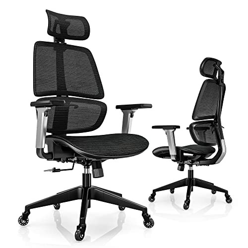 Humanspine Best All Mesh Office Chair by ModSavy Brand NEW