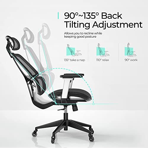 Humanspine Best All Mesh Office Chair by ModSavy Brand NEW