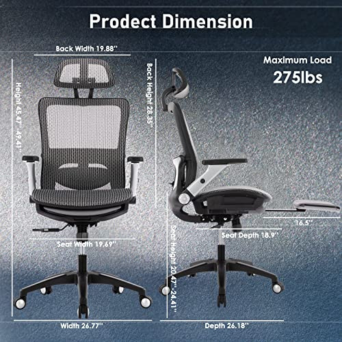 Humanspine Anytime Office Chair by ModSavy Brand NEW
