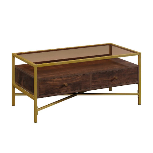 Hudi Glass Top Gold Metal Rectangular Coffee Table with Storage by ModSavy