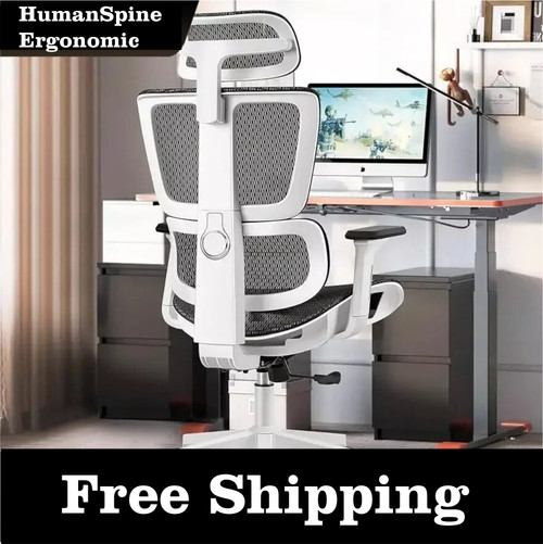 Humanspine Ergonomic High Back Breathable Mesh Desk Chair With Adjustable Lumbar Support