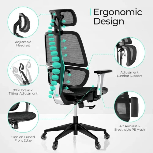 Humanspine Ergonomic Computer Mesh Chair for Home Office Lumbar Support