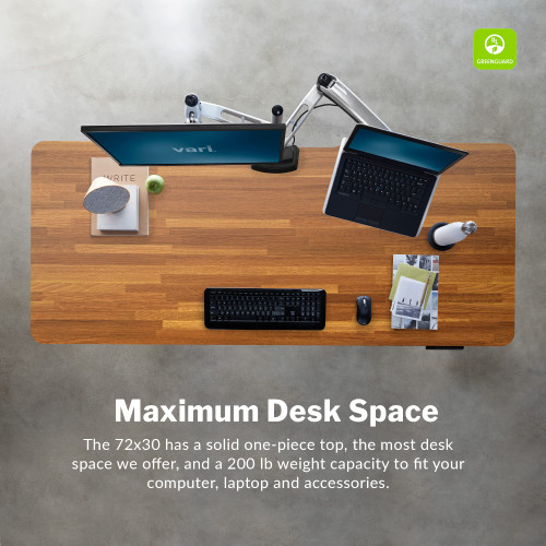 Classic Electric Standing Desk - Desk Height Adjustable Sit/Stand Desk - Dual Motor with Memory Presets, Stable Legs - Gaming, Home Office Workstation - 66x30 (Butcher Block/Slate Legs)