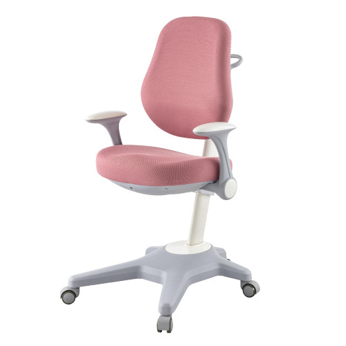 Ergonomic Kids Desk Chair, Adjustable Height & Seat Depth Study Chair with Lumbar Support, Flip-up Armrests - for Boys Girls Teens (Reading/Writing/Homework)(Pink)