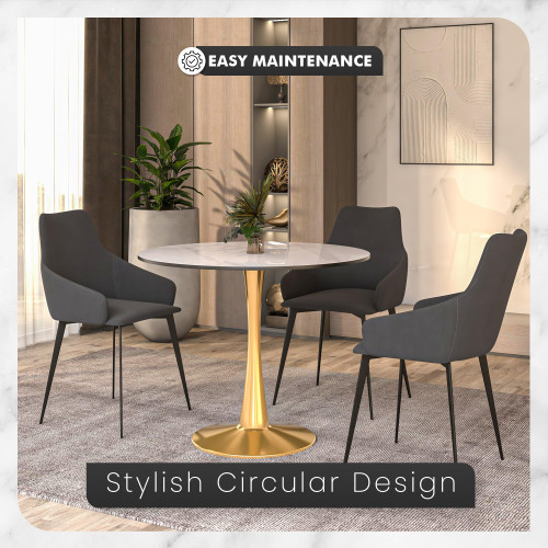 35" Round Dining Table in White Modern Sintered Stone Tabletop with Gold Pedestal Base, Mid-Century Accent Table for Kitchen, Café & Dining Room