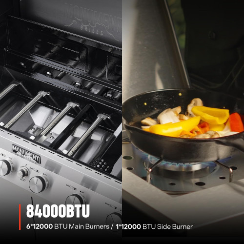 6-Burner Convertible Natural Gas Smart bbq Grill Stainless Steel Denali 605 with Conversion Kit