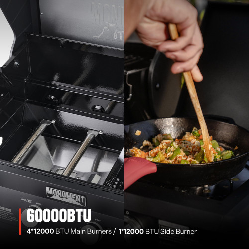 4+1 Liquid Propane Gas Smart BBQ Grill, 4 Burners & 1 Side Burner Denali 425 with Smart Technology and Knob Controls, Black