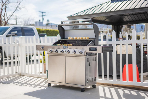 6-Burner Convertible Natural Gas Smart bbq Grill Stainless Steel Denali 605 with Smoke Box (Without Conversion Kit)