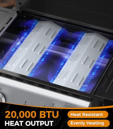 2-Burner Propane Gas BBQ Grill, 20,000 BTU Stainless Steel Grill with Side Shelves and Wheels, Portable Outdoor Grill for Patio, Backyard, Garden, or Camping Cooking